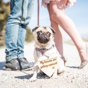 Pet sign for Engagement Pictures
